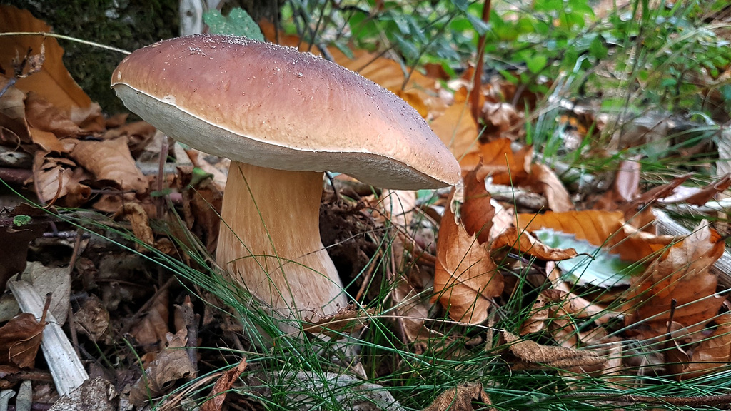 20191024 160027