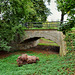 Die Fleuthebrücke des ehemaligen Gahlenschen Kohlenwegs (Gelsenkirchen) / 5.10.2019