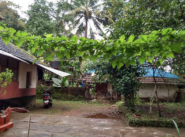 Monsoon day