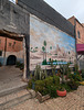Fresque et cactus / Fresco e cacto