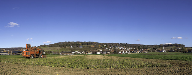 Benken Weindorf im Kt Zürich