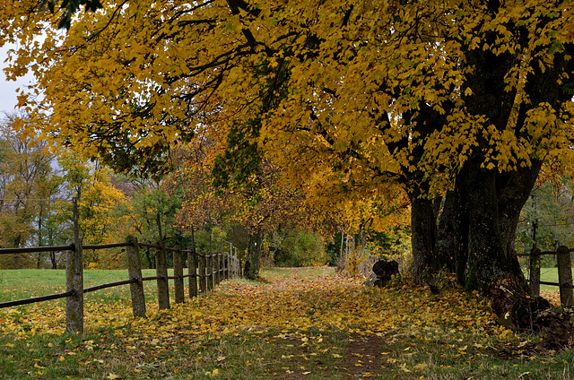 Herbst Herbst