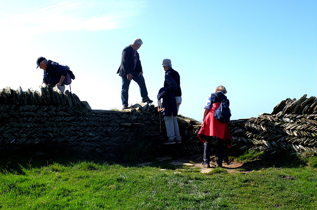 Trockenmauer im Fischgrätmuster auf dem SW Coast Path Cornwall