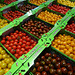 united colors of tomatoes