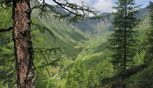 Blickrichtung Talschluss Altfasstal