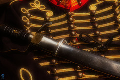 Garde du corps d'Arlequin