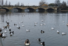 serpentine bridge, hyde park, london