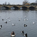 serpentine bridge, hyde park, london