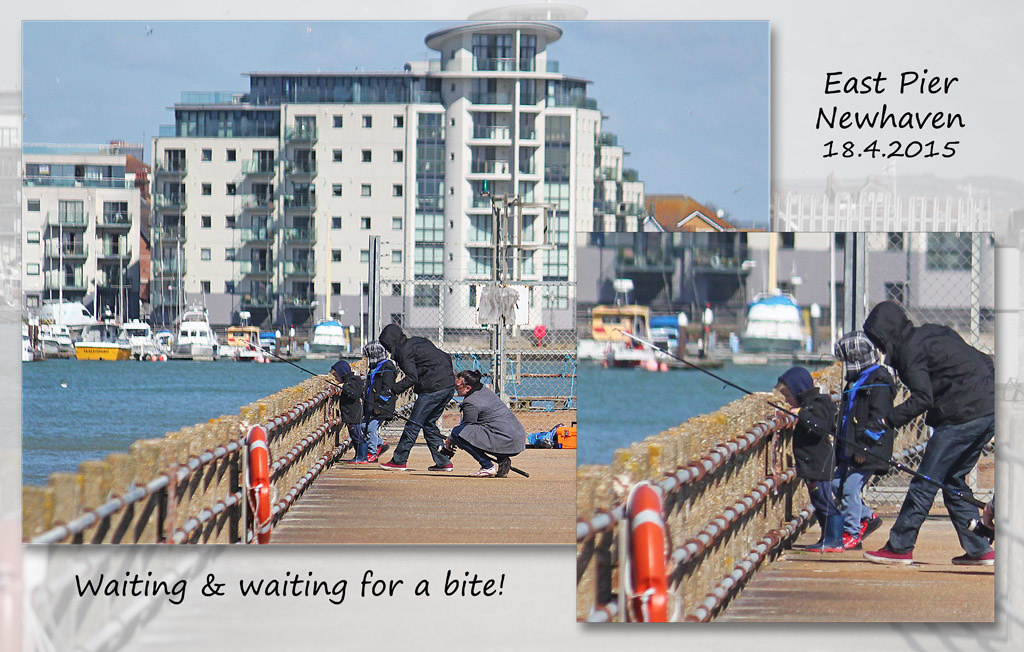 Waiting for a bite - Newhaven - 18.4.2015