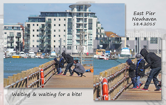 Waiting for a bite - Newhaven - 18.4.2015