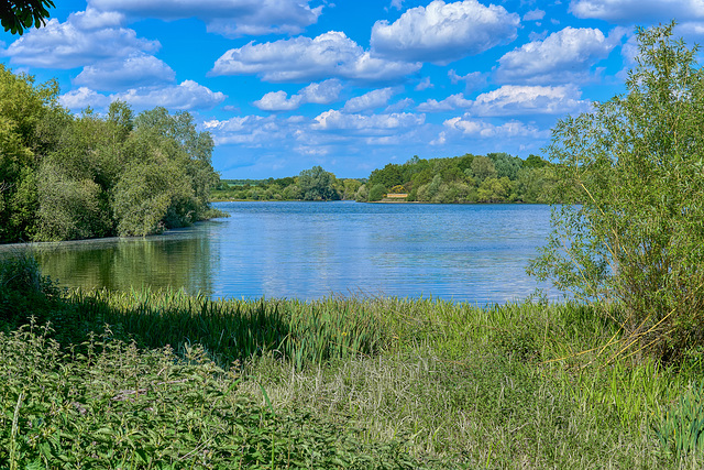 Alton Water Tranquility