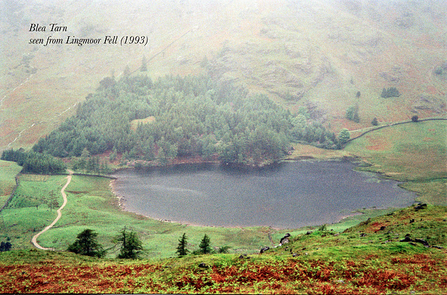 Blea Tarn seen from Lingmoor Fell (Scan from 1993)