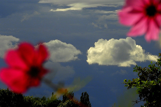 a Thunderstorm in the north,amd some stray clouds drifting from west to east