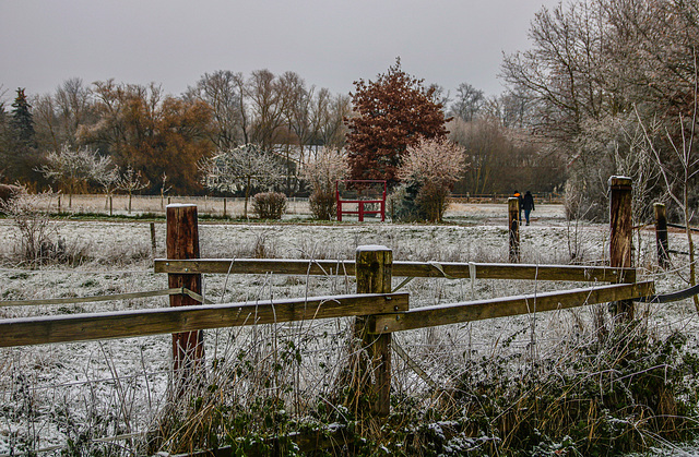 The last Fence before Christmas