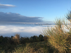 Dense autumn fog.