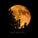 Strawberry Moon, June 11th, 2025