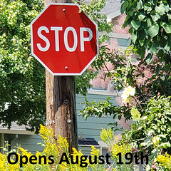 stop sign between years
