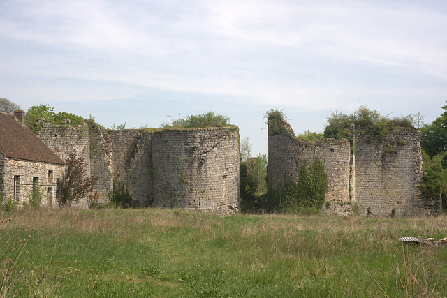 Ruines du château de Montaiguillon - Seine-et-Marne