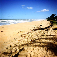 Footsteps along the shore.