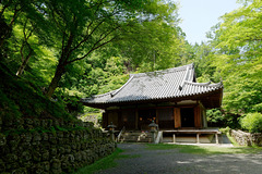 Temple Otagi Nenbutsu-ji (愛宕念仏寺) (1)