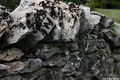 An old stone wall does gather some moss ...