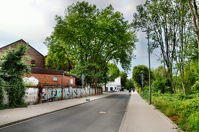 Wenemarstraße (Dortmund-Bodelschwingh) / 11.07.2020