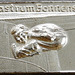 Castrum Bonnense