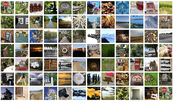 2025 World photography day - all images for Club News