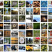 2025 World photography day - all images for Club News