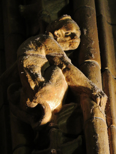 natural history museum, south kensington, london