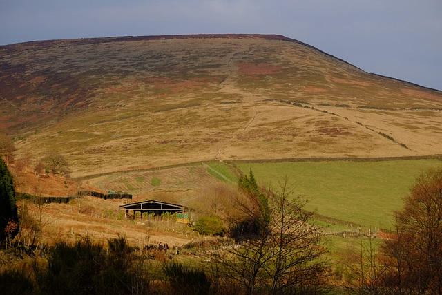 Yellow Slacks path to Bleaklow