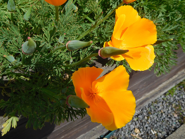 réflexion,, réflexion,,