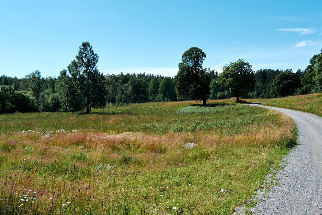 landschaft-1210527-co-09-08-15