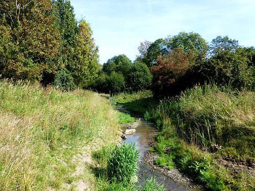 DE - Polch - Polchbach creek