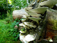 P1200769