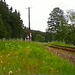 VÖ0000236