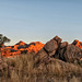 The Cochise Stronghold