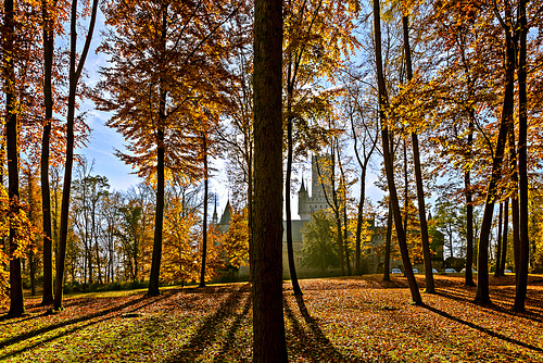 Wald? Lauter Bäume? Was sehe ich hier eigentlich?