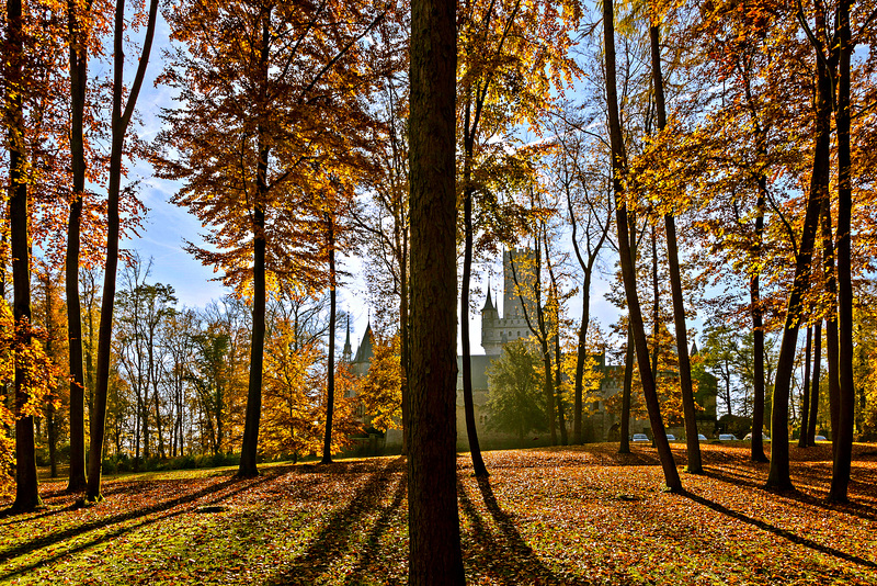 Wald? Lauter Bäume? Was sehe ich hier eigentlich?