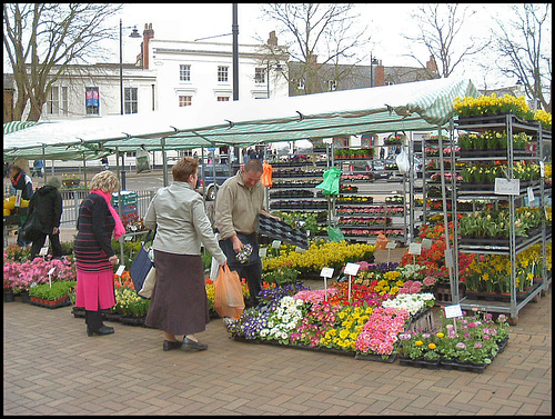 spring garden plants