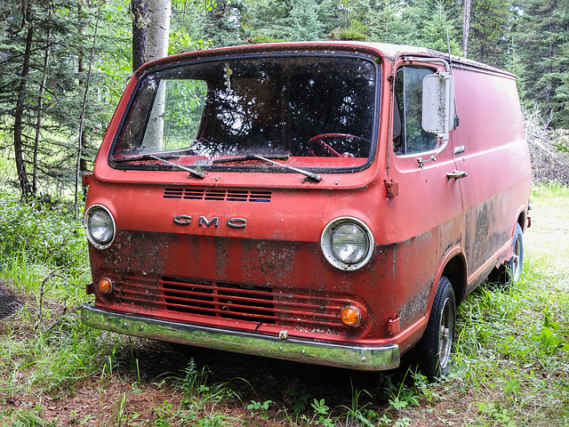 Hidden in the forest - an old GMC van