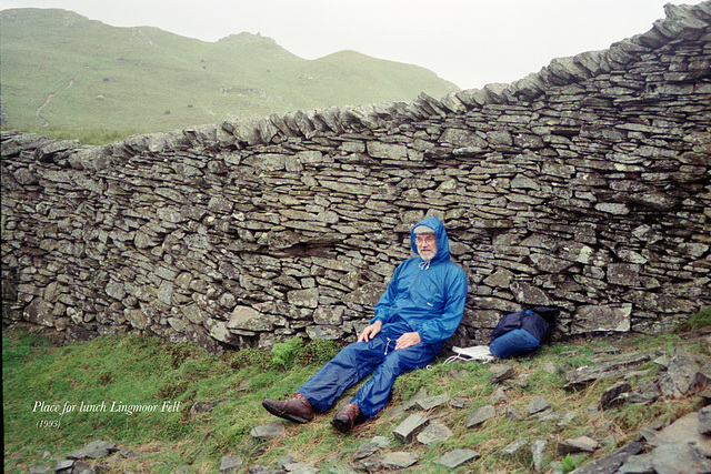 Place for lunch, Lingmoor Fell (Scan from 1993)