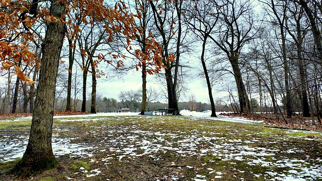 Sunday stroll at the park.