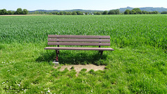 Bench in the middle of nowhere