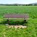 Bench in the middle of nowhere