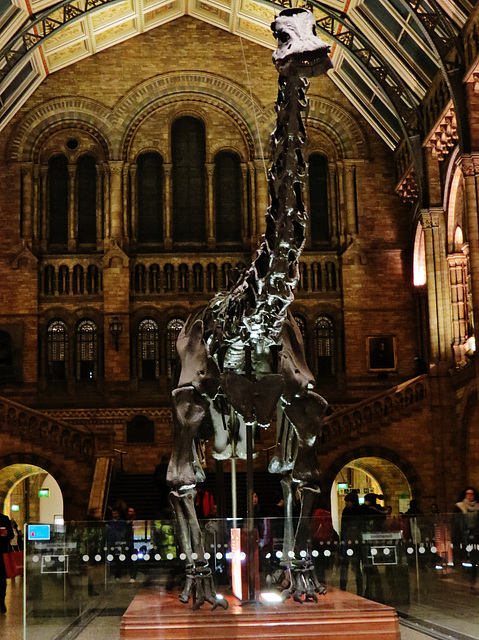 natural history museum, south kensington, london