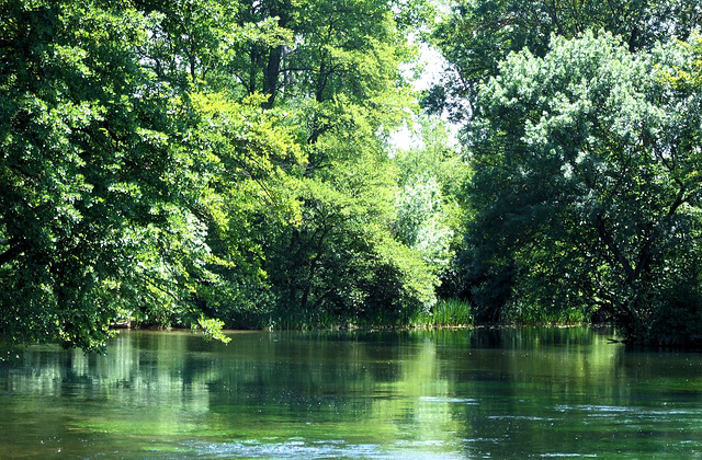 Partage des eaux, en Vaucluse