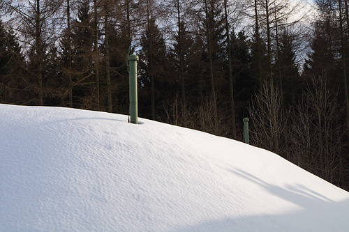 Eifel - Weißer Stein DSC00080