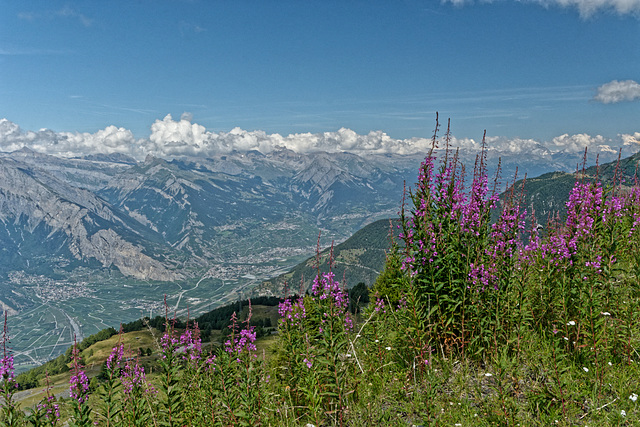 Vue depuis La Tzoumaz VS