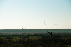 Borkum-2016-8